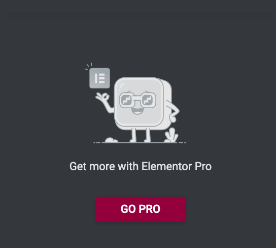 Get more with Elementor Pro